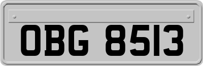OBG8513