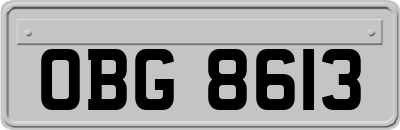 OBG8613