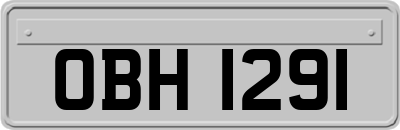 OBH1291