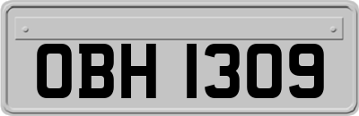 OBH1309