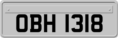 OBH1318