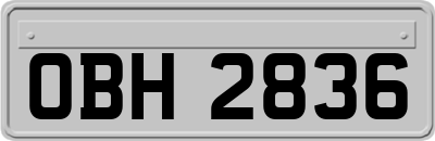 OBH2836