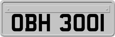 OBH3001