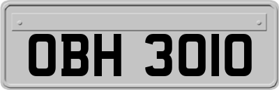 OBH3010