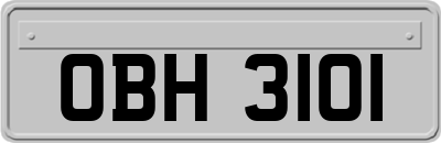 OBH3101