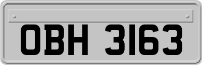 OBH3163