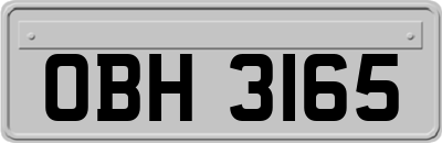 OBH3165