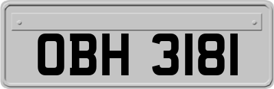 OBH3181