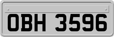 OBH3596