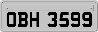 OBH3599