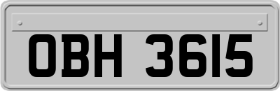 OBH3615