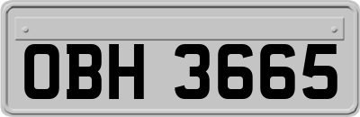 OBH3665