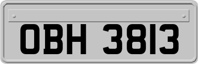 OBH3813