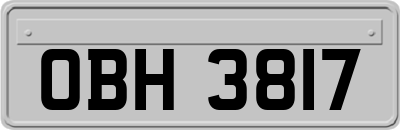 OBH3817