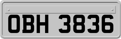 OBH3836
