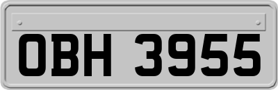 OBH3955