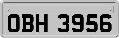 OBH3956