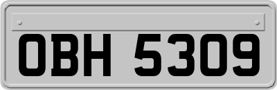 OBH5309