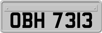 OBH7313