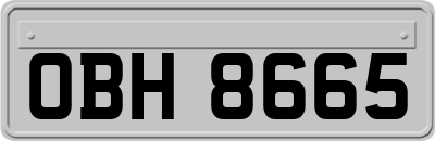 OBH8665