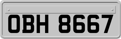 OBH8667