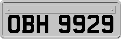 OBH9929