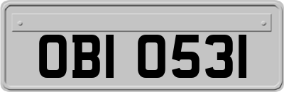 OBI0531
