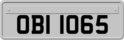 OBI1065