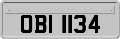 OBI1134