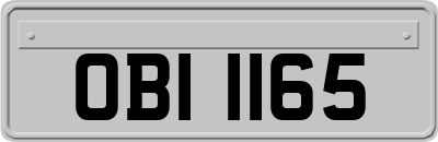 OBI1165