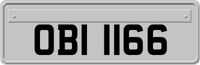 OBI1166