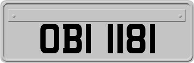 OBI1181