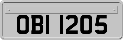 OBI1205