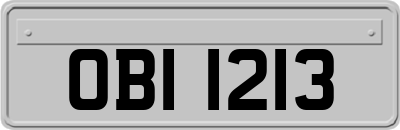OBI1213