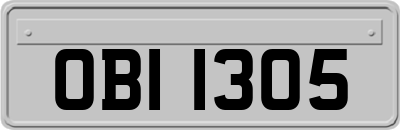 OBI1305