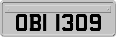 OBI1309