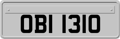 OBI1310