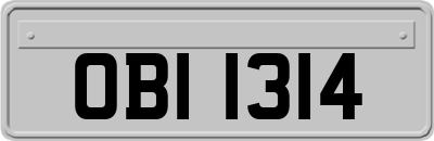 OBI1314