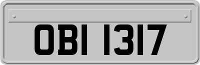 OBI1317