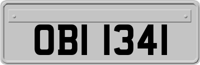 OBI1341