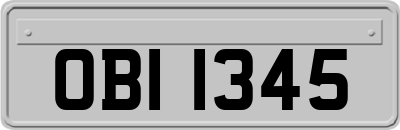 OBI1345