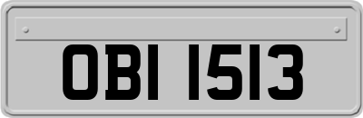 OBI1513