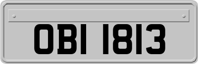 OBI1813