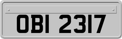 OBI2317