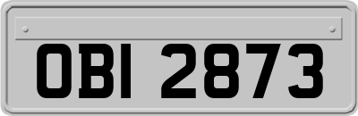 OBI2873
