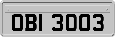 OBI3003