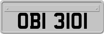 OBI3101