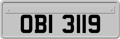 OBI3119