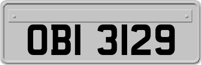 OBI3129