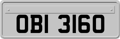 OBI3160